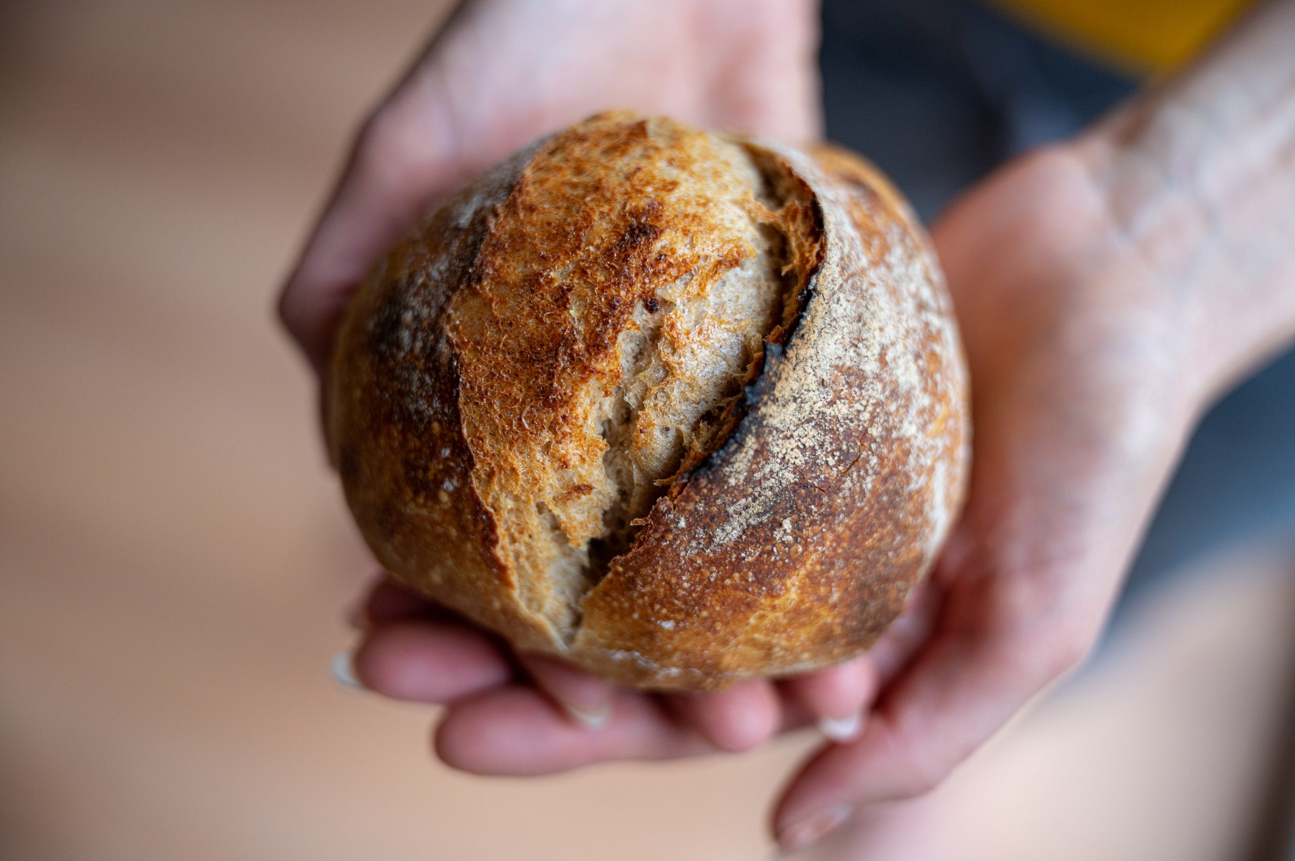 Female hands holding delicious golden bread bun