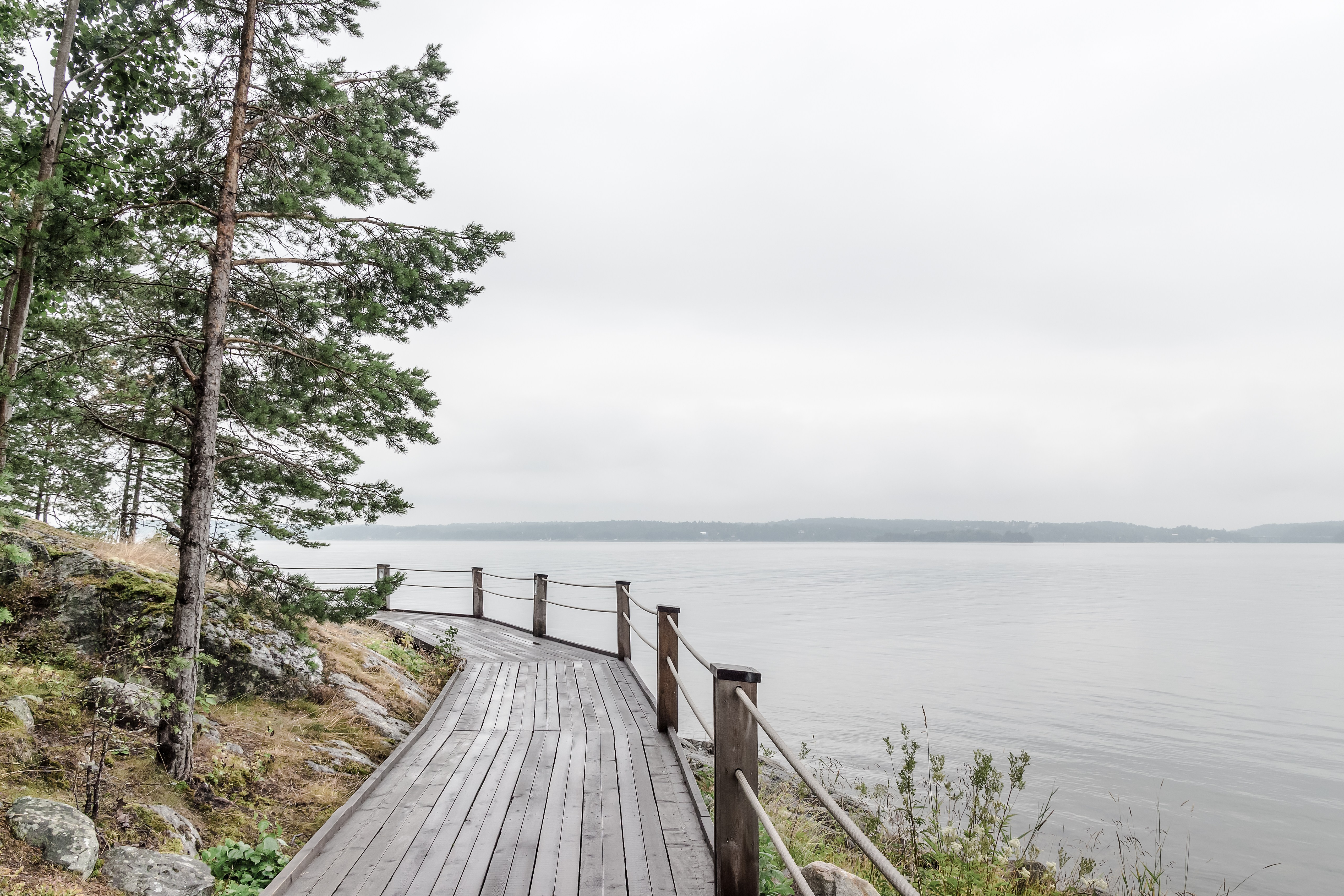 Wooden path on a lakeshore